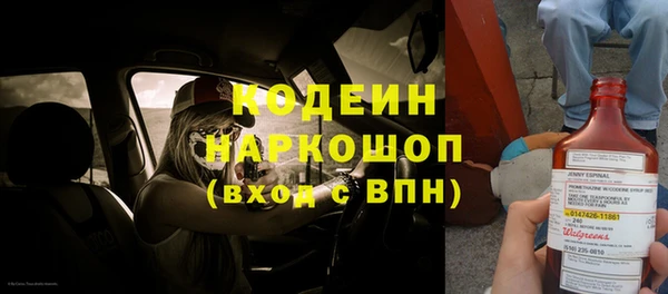 не бодяженный Заводоуковск
