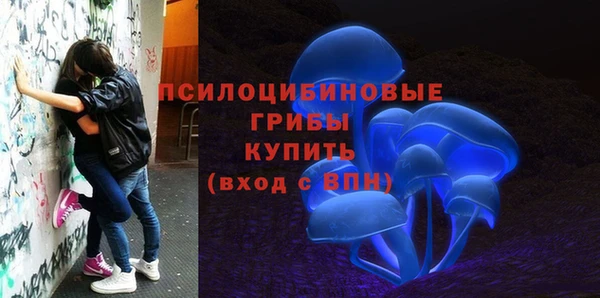 тгк Зеленокумск