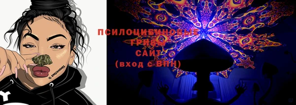 тгк Зеленокумск
