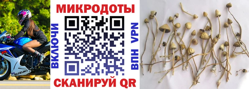 Псилоцибиновые грибы GOLDEN TEACHER  Купить  Кунгур 